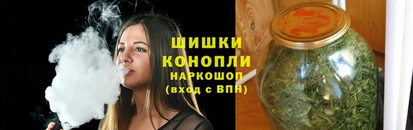 трава Белокуриха