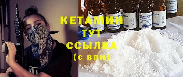 трава Белокуриха