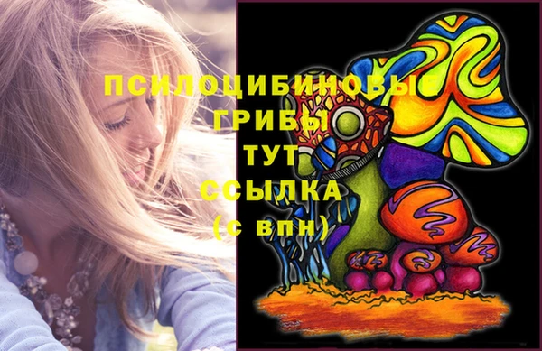 трава Белокуриха