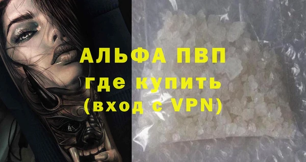 трава Белокуриха